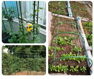 Piquets de Support pour plantes grimpantes, Cages de jardinage en spirale, piquets pour plantes en pot, tomate, Rose, vigne - Product Image 6