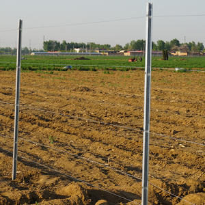 <span class=keywords><strong>Poteau</strong></span> <span class=keywords><strong>à</strong></span> raisin en acier galvanisé robuste avec revêtement antirouille pour un soutien durable des vignes dans les ranchs et tous les climats - Product Image 1