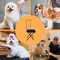 Table de toilettage portable pour animaux de compagnie, facile à nettoyer, avec plateau et structure en fer robustes, pour chats et chiens, petit modèle, outils de toilettage