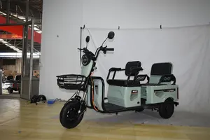 2024 New Hybrid Mini Electric Tricycle Electric Tricycle For Passenger Transport