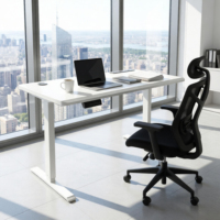Cadre de bureau électrique moderne à moteur unique, réglable en hauteur sur 2 niveaux, pour position assise ou debout, base de bureau ergonomique en métal pour la maison