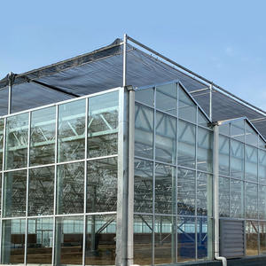 โรงเรือนกระจกราคาประหยัด Sainpoly สำหรับปลูกมะเขือเทศ ระบบไฮโดรโปนิกส์ โรงเรือนเพาะปลูกทางการเกษตรสำหรับขาย - Product Image 4