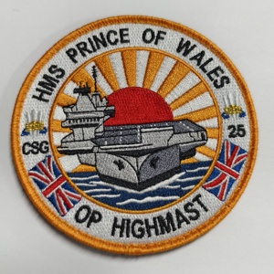 ZT-E-0046 Tùy Chỉnh Lớn Ấn Độ Đại Bàng Sắt Trên Thêu Các Bản Vá Lỗi Bộ Quà Tặng 3D Xe Máy <span class=keywords><strong>Biker</strong></span> Phun Thêu Vá - Product Image 3