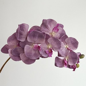 Venta directa de fábrica 41 pulgadas (aproximadamente 105cm) tallos de orquídeas de seda 9 cabezas orquídeas de seda <span class=keywords><strong>blanca</strong></span> para bodas eventos en casa - Product Image 3