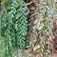 Plante artificielle suspendue, simulation de vigne avec feuilles dégradées vert-rose, feuillage superposé de fleurs de chouette, décoration murale intérieure pour la maison