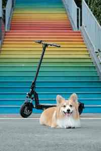 Alas de Mariposa de Poliéster Turquesa Blanca para Decoración Navideña y Regalo - Product Image 2