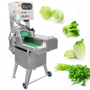 Linea di lavorazione e confezionamento di taglio di frutta e verdura industria ad alta efficienza lavatrice per verdure per insalata