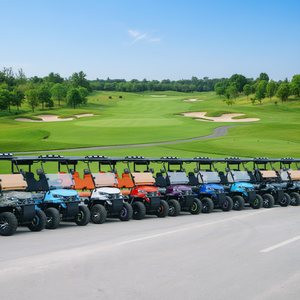 Voiturette de golf électrique BFF Kepler, livraison directe usine Chine, 6 places, rehaussée, pneus tout-terrain 14 pouces, homologuée route, autonomie 70-90 km, vitesse 50-70 km/h, 48V - Product Image 6