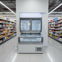 Vitrine combinée grande capacité avec présentoir vertical et congélateur horizontal pour viandes et fruits de mer surgelés