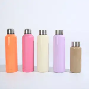 Multi-Color Double Wall Stainless Steel Cups Custom Vacuum Insulated Cup