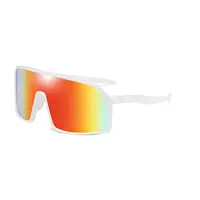 Trendy Wholesale Lexxoo Sunglasses For Outdoor Sports And Beach Activities