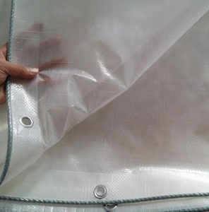 Qualité Verger et Vignoble Raisins <span class=keywords><strong>de</strong></span> <span class=keywords><strong>Table</strong></span> Pluie Bâche Protéger Couvertures <span class=keywords><strong>de</strong></span> Culture 120gsm tissé film plastique - Product Image 2