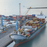 Service de transitaire maritime du Shandong : Frais de transport de conteneurs vers l'Espagne, la Grèce, la Turquie, la République tchèque, Oman, l'Algérie, le Sénégal, l'Italie