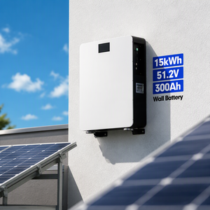 Gran Promoción de Ventas: Batería Solar Doméstica ZZ Docan Lifepo4 de 51.2V 314ah 16kwh, Montable en Pared, Portátil, Envío Rápido desde Almacén en la UE - Product Image 1