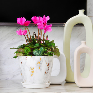 Vaso <span class=keywords><strong>per</strong></span> appartamenti al coperto all'aperto vaso grande <span class=keywords><strong>vasi</strong></span> <span class=keywords><strong>da</strong></span> fiori in plastica all'ingrosso - Product Image 3