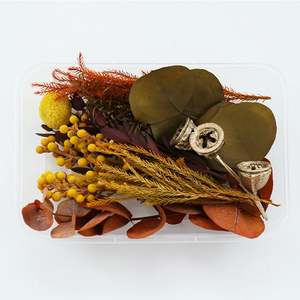 <span class=keywords><strong>Flores</strong></span> <span class=keywords><strong>Secas</strong></span> <span class=keywords><strong>y</strong></span> <span class=keywords><strong>Preservadas</strong></span> para Manualidades, Caja de Materiales de <span class=keywords><strong>Flores</strong></span> Eternas de Colores Mixtos Aleatorios, Decoración DIY - Product Image 2
