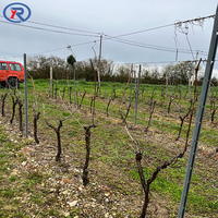 Poteau de treillis de poteau de vignoble de 2.4m avec crochets Ligne en métal Poteaux de vignoble haute résistance et ténacité Tas De Raisin