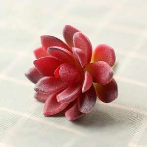 Venta al por mayor Mini cactus surtido interior y exterior decorativo <span class=keywords><strong>suculentas</strong></span> arreglo plantas artificiales y vegetación a la venta - Product Image 4