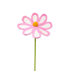 Fleur de gesang dégradé rose