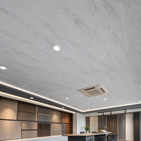 Panel de Techo de PVC con Patrón de Piedra Suave WYRAX, 250 x 7.5 mm, Estructura Hueca Ligera para Espacios Domésticos y de Trabajo