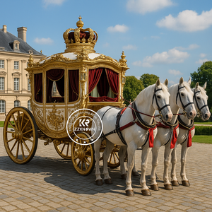 2025 calèche pour cheval <span class=keywords><strong>de</strong></span> noël pour mariage princesse mariage Royal calèche tirée par un cheval - Product Image 3