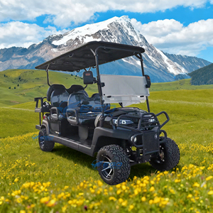 Carrito de Golf de Lujo, Color Negro Puro, Eléctrico, Asiento Cómodo, Cuatro Ruedas, Fabricantes de Carritos de Golf, Precio al por Mayor Personalizado, Gran Venta - Product Image 2