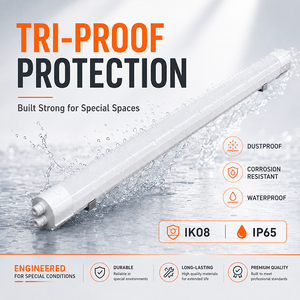 <span class=keywords><strong>Luminaire</strong></span> LED haute efficacité résistant à l'humidité IP65, boîtier entièrement en PC, éclairage tri-étanche pour éclairage de <span class=keywords><strong>sous</strong></span>-<span class=keywords><strong>sol</strong></span> - Product Image 3
