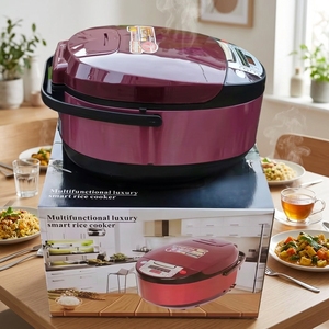 Vente Directe Usine Autocuiseur de <span class=keywords><strong>Riz</strong></span> Domestique Multifonctionnel 5 L avec Réservation Intelligente - Product Image 6