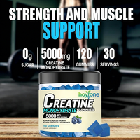 Gummies de créatine monohydrate sans sucre OEM 5g avec L-Taurine Alpha GPC pour la force musculaire et l'énergie, végétaliennes, saveur myrtille