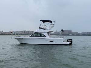 Grandsea - <span class=keywords><strong>Barco</strong></span> de Fibra de Vidrio de 11.5m con Motor Fuera de Borda, 33 Nudos, Pequeño Crucero de Alta Velocidad con Flybridge, <span class=keywords><strong>Barco</strong></span> de Pesca de Recreo en <span class=keywords><strong>Venta</strong></span> - Product Image 3