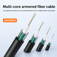 Kabel Serat Optik Berlapis Baja G652D Mode Tunggal Inti 2 4 6 8 12 24 untuk Luar Ruangan GYXTW POE 5G FTTH IP