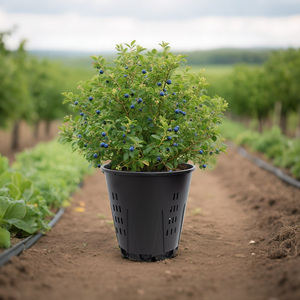 Pot rond professionnel de 25 L pour la culture des myrtilles en serre, avec <span class=keywords><strong>pieds</strong></span> de 30 mm de hauteur et fentes de support pour tuyaux d'irrigation - Product Image 5