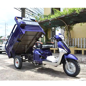 Triciclo de gasolina de 3 ruedas para carga, motocicleta de <span class=keywords><strong>125cc</strong></span> - Product Image 5