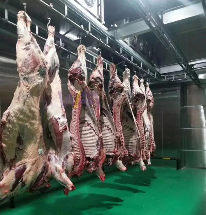 Línea de matadero personalizada de 50 - 100 de ganado por día, máquina de matadero de vacas para equipo de carnicero de carne de toro