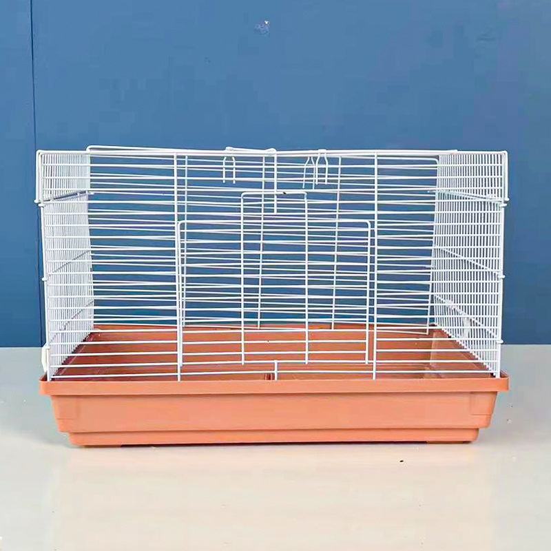 Orange amande (Cage unique)