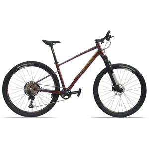 Cadre de vélo de montagne de vente chaude vélo de montagne en alliage d'aluminium de 29 pouces avec essieu à baril à 12 vitesses pour les aventures en plein air - Product Image 1