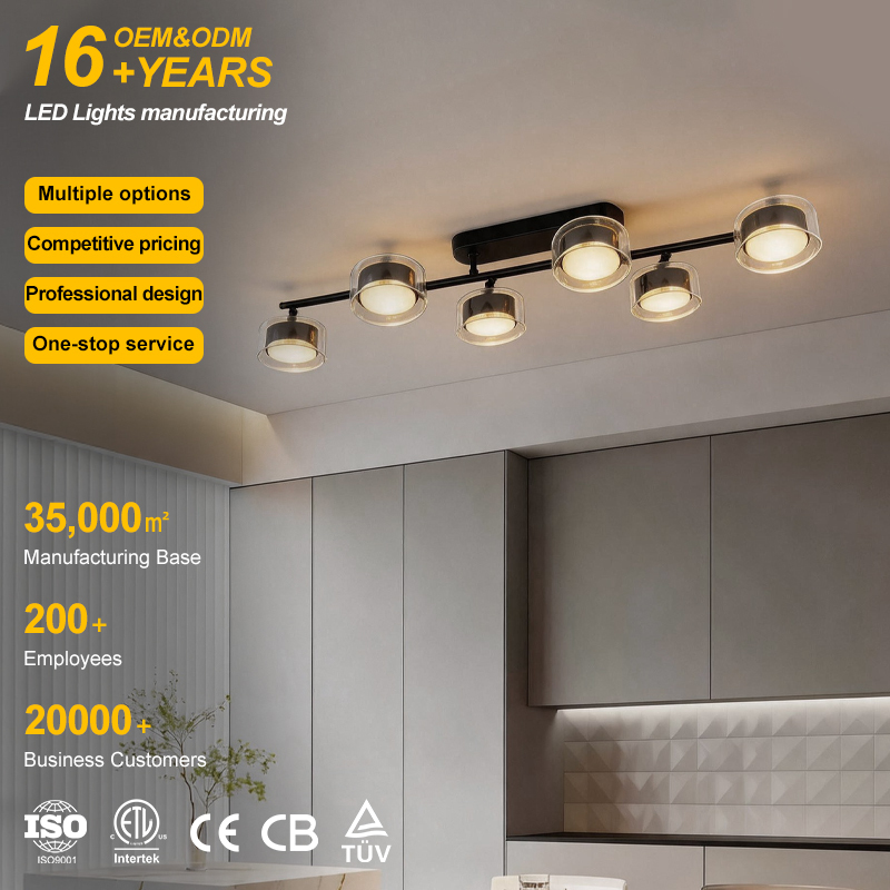 Stable Performance Modern Minimalist Design AC 220V Input Voltage and 10w/15w/20w/30w/40w Output Power Led Ceiling Light