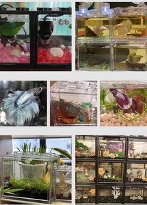 Mini <span class=keywords><strong>Aquarium</strong></span> Transparent de 2L pour Poissons Rouges, Blocs de Construction Créatifs, Boîte en Plastique pour Paysage de Bureau - Product Image 5
