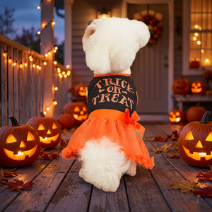 Déguisement pour chien Halloween Trick or Treat, en tulle orange, costume mignon pour animaux de compagnie, tenue de festival d'automne pour petits chiens - Product Image 1