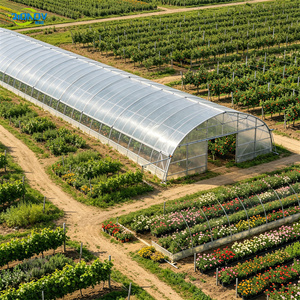 Invernadero Quonset <span class=keywords><strong>de</strong></span> un solo tramo con película UV <span class=keywords><strong>de</strong></span> 0.12mm para la producción <span class=keywords><strong>de</strong></span> <span class=keywords><strong>cilantro</strong></span>, bajo costo y alta luminosidad - Product Image 2