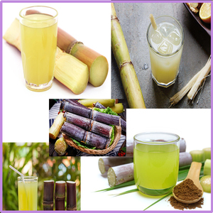 Presse-canne à sucre manuelle en acier inoxydable, excellent <span class=keywords><strong>rapport</strong></span> <span class=keywords><strong>qualité</strong></span>-<span class=keywords><strong>prix</strong></span>, en vente - Product Image 6