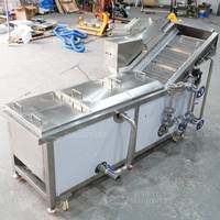 Temperatuurregeling multifunctionele machine voor het blancheren van maïs, fruit, groenten en kokoschips voor kokosvlees/gelei-snacks