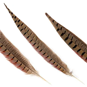 45-50cm Pheasant Feathers Dyed Ringneck Pheasant Tail Feathers Pheasant