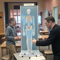 3D Taille Naturelle 176cm Squelette Modèle Corps Humain Entier Os Science Médicale Équipement Éducatif FRT001