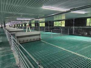 BMC Rejilla de plástico para suelo de naves de cría y engorde de cerdos con tabla de drenaje de líquidos para equipos de porcicultura 2000x600mm Conservation com - Product Image 4