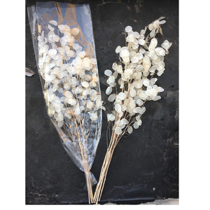 Fleurs séchées 24 pièces pour décoration, entretien nature - Product Image 6