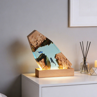 Lampe de nuit en résine 3D représentant une scène de grotte sous-marine, alimentée par USB, lampe de bureau artisanale, lampe de nuit pour la décoration de la maison, commande en gros