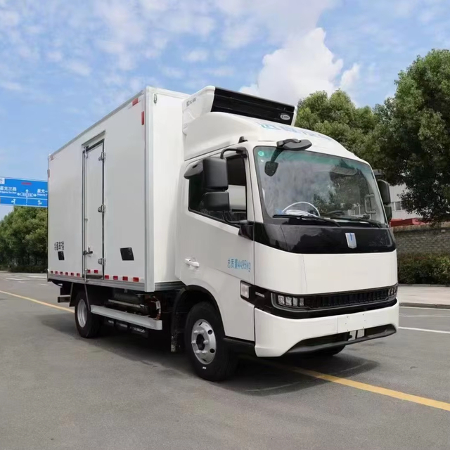 Agile High-Efficiency Geely New Energy Refrigerated Van for Urban Fresh Delivery