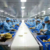 Hoge Kwaliteit Bananensap Pulp Puree Pasta Wijn Maken Vulmachine Verwerkingslijn Productie Fabriek