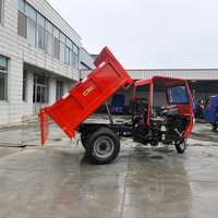 Kompakter 3000kg Diesel-Kipper mit 35PS Leistungsstarkem Motor und Anpassbarer Ladebox für Baustellen-Sandtransport